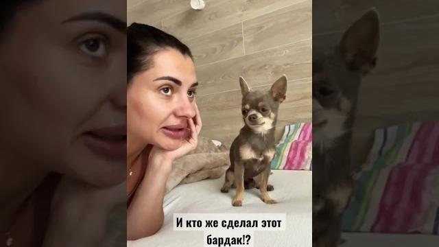 Презентация к новому длинному видео. Покажу Леонида, который с радостью убирает за собой игрушки Презентация к новому длинному видео. Покажу Леонида, который с радостью убирает за собой игрушки