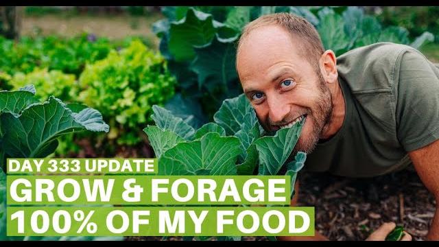 Growing and Foraging 100% of My Food - Day 333 Update Growing and Foraging 100% of My Food - Day 333 Update