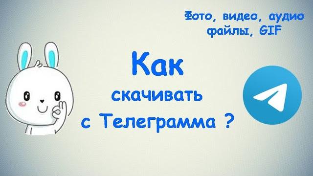 Как скачивать с Телеграмма? / (ПК и Моб. устройства) Как скачивать с Телеграмма? / (ПК и Моб. устройства)