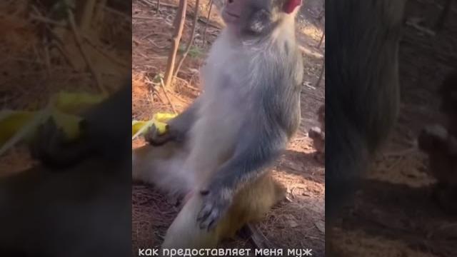 #смех #медитация #юмор #смех #медитация #юмор