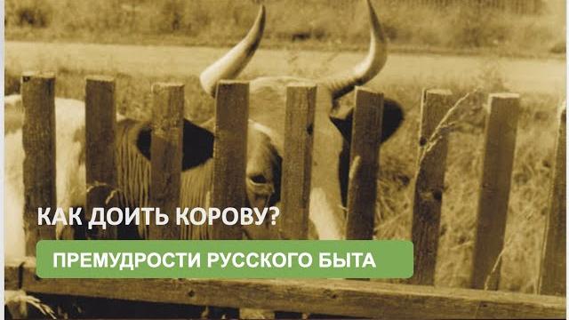 Как доить корову Как доить корову