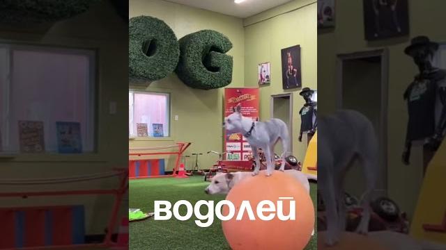 Часть 1 уже в ленте Часть 1 уже в ленте