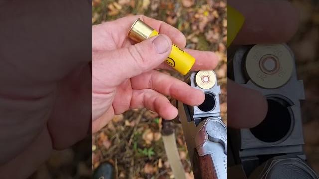 shotgun 20 gauge/ружьё 20 калибра #shorts #shotgun #hunting #hunt #cz #cartridge #gun #weapon #20cal shotgun 20 gauge/ружьё 20 калибра #shorts #shotgun #hunting #hunt #cz #cartridge #gun #weapon #20cal