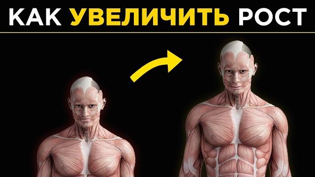 КАК по-настоящему УВЕЛИЧИТЬ РОСТ (от 7 см в год) КАК по-настоящему УВЕЛИЧИТЬ РОСТ (от 7 см в год)