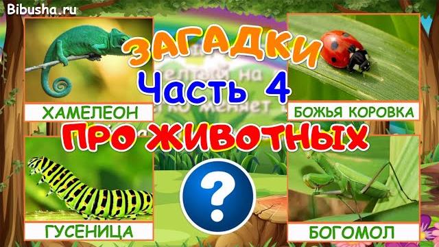 ЗАГАДКИ ПРО ЖИВОТНЫХ - Часть 4 | Загадки для детей ЗАГАДКИ ПРО ЖИВОТНЫХ - Часть 4 | Загадки для детей