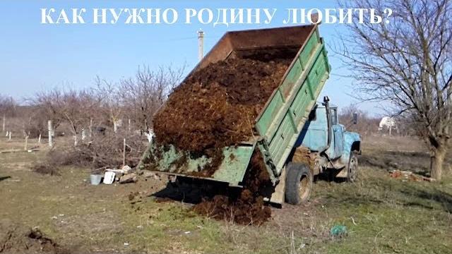 Как нужно Родину любить? Как нужно Родину любить?