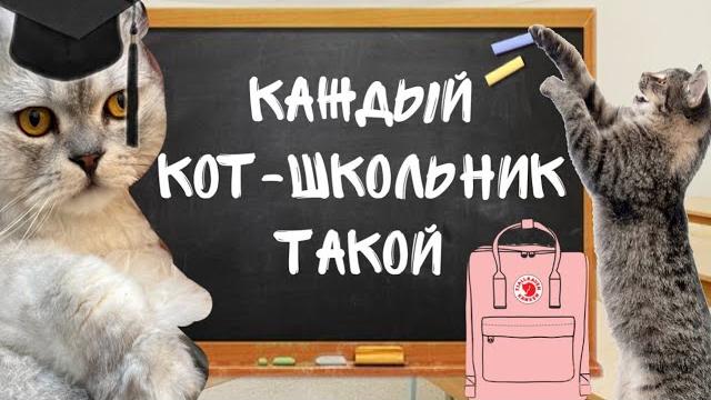 КАЖДЫЙ КОТ-ШКОЛЬНИК ТАКОЙ | СКЕТЧ ЛЯПОТА ТВ КАЖДЫЙ КОТ-ШКОЛЬНИК ТАКОЙ | СКЕТЧ ЛЯПОТА ТВ