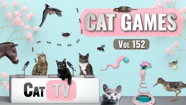 CAT Games | Ultimate Cat TV Compilation Vol 152 | 8 ЧАСОВ CAT Games | Ultimate Cat TV Compilation Vol 152 | 8 ЧАСОВ