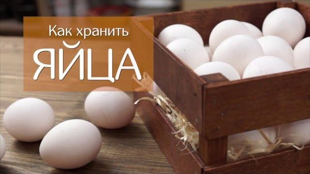 Как хранить яйца правильно Как хранить яйца правильно