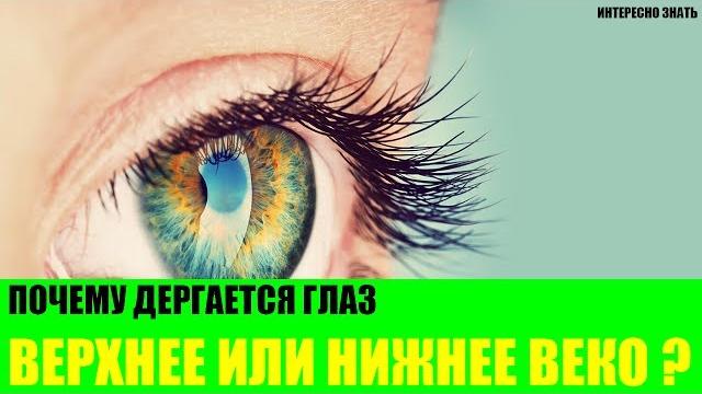 Почему дергается глаз - верхнее или нижнее веко? Почему дергается глаз - верхнее или нижнее веко?