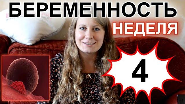 ЧЕТВЕРТАЯ НЕДЕЛИ БЕРЕМЕННОСТИ: ИМПЛАНТАЦИЯ ЧЕТВЕРТАЯ НЕДЕЛИ БЕРЕМЕННОСТИ: ИМПЛАНТАЦИЯ