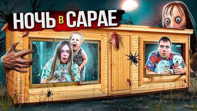 НОЧЬ В САРАЕ С КОТАМИ | ПУГАЛО ХОЧЕТ ПОИГРАТЬ НОЧЬ В САРАЕ С КОТАМИ | ПУГАЛО ХОЧЕТ ПОИГРАТЬ