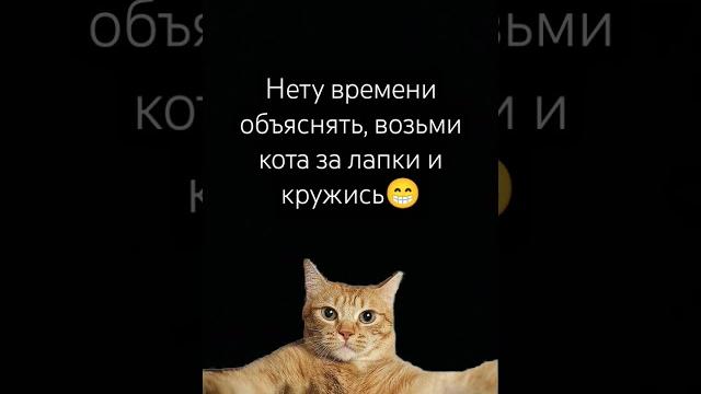 видео для поднятия настроения видео для поднятия настроения