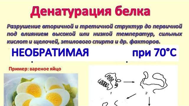 При 70°С происходит НЕОБРАТИМАЯ денатурация БЕЛКА. Вред ВАРЁНОЙ еды / Фролов Ю.А. и Бутакова О.А. При 70°С происходит НЕОБРАТИМАЯ денатурация БЕЛКА. Вред ВАРЁНОЙ еды / Фролов Ю.А. и Бутакова О.А.