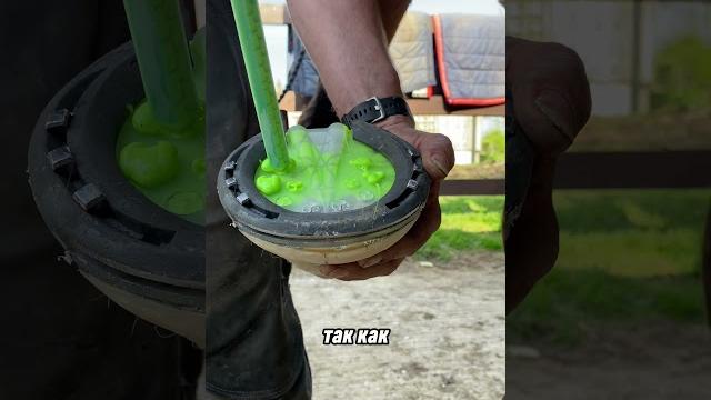 силикон для лошади #shortvideo силикон для лошади #shortvideo