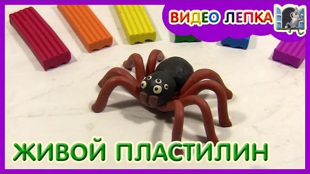 ПАУК - Лепи из пластилина | Видео Лепка ПАУК - Лепи из пластилина | Видео Лепка