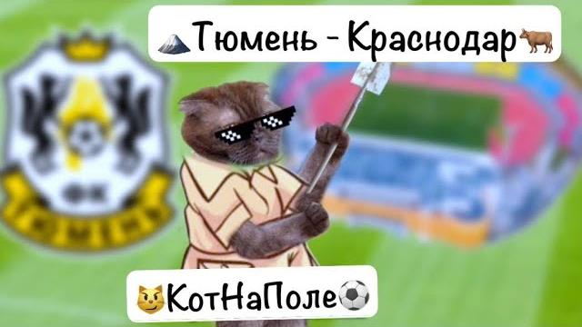 ТЮМЕНЬ - КРАСНОДАР | ПУТЬ РЕГИОНОВ ТЮМЕНЬ - КРАСНОДАР | ПУТЬ РЕГИОНОВ