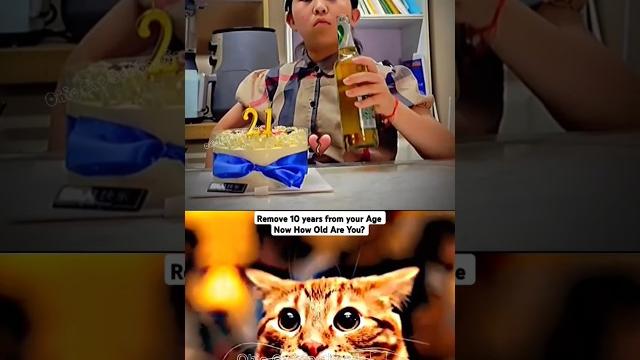 aura cat funny #cat #meme #dance #trending aura cat funny #cat #meme #dance #trending