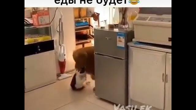 Когда очень хочется кушать лучшие приколы 2021 до слез | тик ток лучшее | тренды тик ток Когда очень хочется кушать лучшие приколы 2021 до слез | тик ток лучшее | тренды тик ток