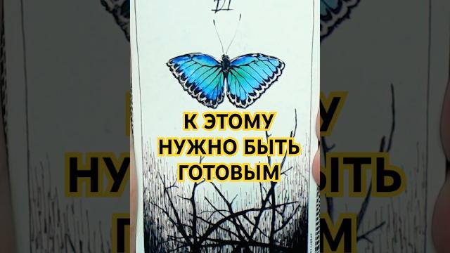 ️Вам Важно Услышать Это Сегодня Гадание Таро ️Вам Важно Услышать Это Сегодня Гадание Таро