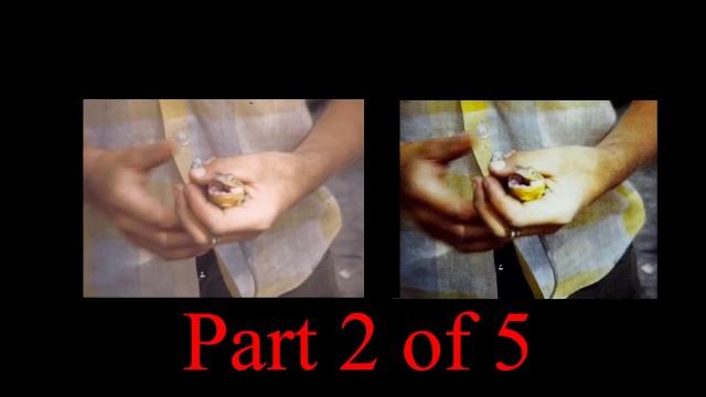 A YouTube Side-by-Side Comparison of the Wolverine MovieMaker vs a professional transfer in 1080P. A YouTube Side-by-Side Comparison of the Wolverine MovieMaker vs a professional transfer in 1080P.