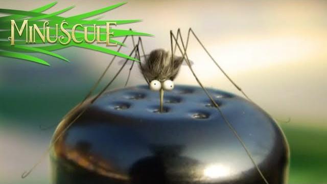 Minuscule - Torpedo (Season 1) Minuscule - Torpedo (Season 1)