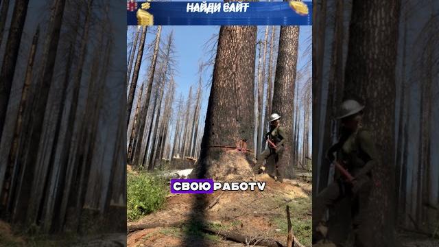 Самый приятный звук Самый приятный звук