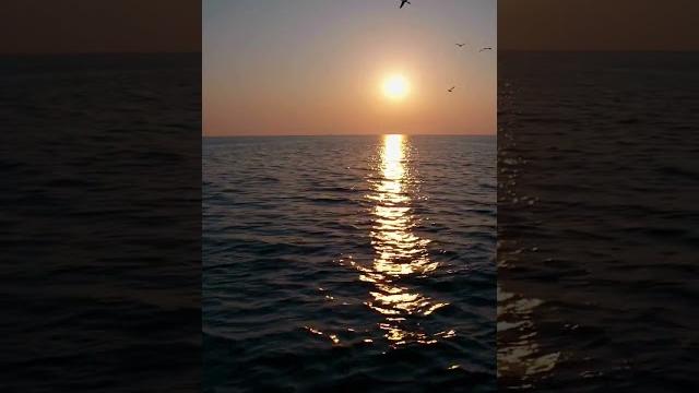 самое просматриваемое видео на ютубе самое просматриваемое видео на ютубе