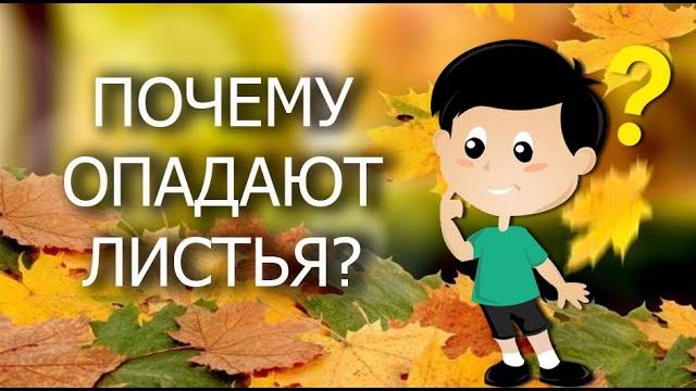 Почему осенью желтеют и падают листья? Почему осенью желтеют и падают листья?