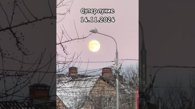 Суперлуние 16.11.2024 Загадываем желание! #sorts #матрица #матрицасудьбы #слипер #суперлуние Суперлуние 16.11.2024 Загадываем желание! #sorts #матрица #матрицасудьбы #слипер #суперлуние