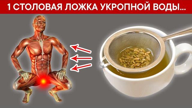 УКРОПНАЯ ВОДА. 1 ложка убирает всю гниль, снижает давление, выводит камни, устраняет запоры... УКРОПНАЯ ВОДА. 1 ложка убирает всю гниль, снижает давление, выводит камни, устраняет запоры...