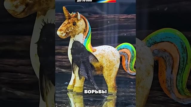 Рыба захватила реки Рыба захватила реки