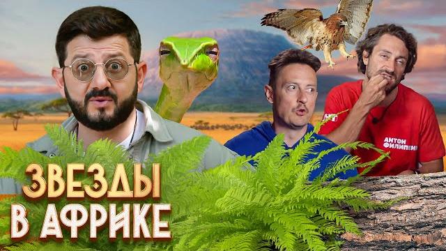 Звёзды в Африке: 3 сезон ВСЕ СЕРИИ ПОДРЯД 1-15 Звёзды в Африке: 3 сезон ВСЕ СЕРИИ ПОДРЯД 1-15