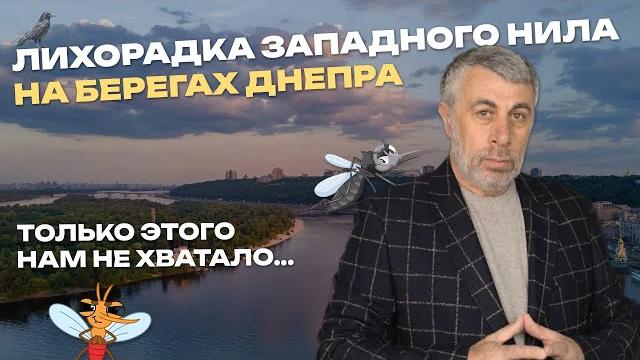 Лихорадка Западного Нила на берегах Днепра Лихорадка Западного Нила на берегах Днепра