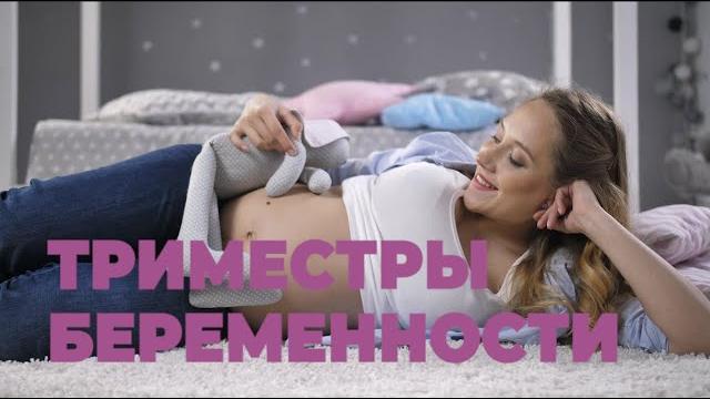 Триместры Беременности. 1, 2, 3 Триместр Триместры Беременности. 1, 2, 3 Триместр