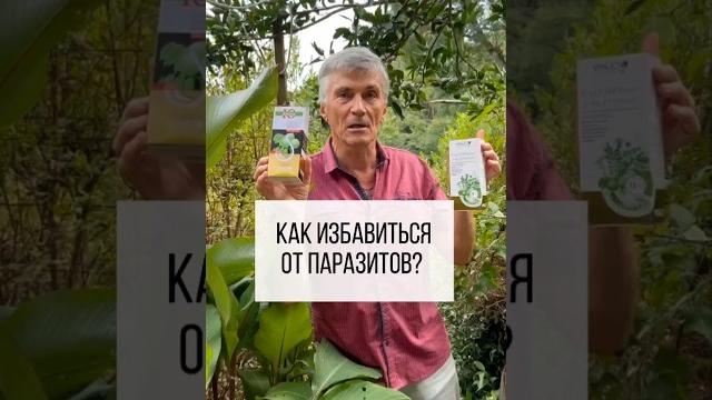 Заказать препараты Юглон и 9ка Стопразит можно на нашем сайте GARBUZOV.ORG#фитотерапевт #гарбузов Заказать препараты Юглон и 9ка Стопразит можно на нашем сайте GARBUZOV.ORG#фитотерапевт #гарбузов