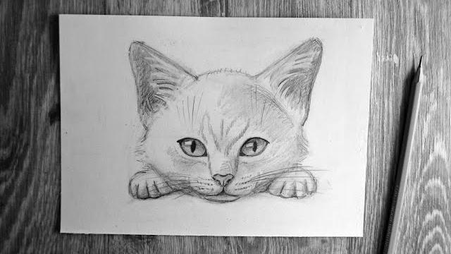 Как нарисовать кота карандашом Как нарисовать кота карандашом