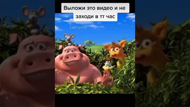 Смешной прикол с коровой Смешной прикол с коровой