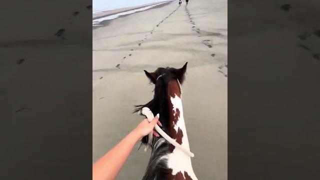 через 8 дней на море! 🫶 #лошади #equestrian #subscribe #рекомендации #riding #horseriding #рек через 8 дней на море! 🫶 #лошади #equestrian #subscribe #рекомендации #riding #horseriding #рек