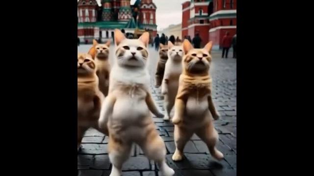 #музыка #музыкаонлайн #новости #юмор #видео #хочурек #прикол #смешно #юмор #кошки #кот #котик #музыка #музыкаонлайн #новости #юмор #видео #хочурек #прикол #смешно #юмор #кошки #кот #котик