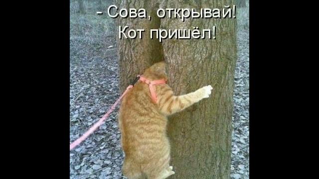 15 октября 2024 г. 15 октября 2024 г.