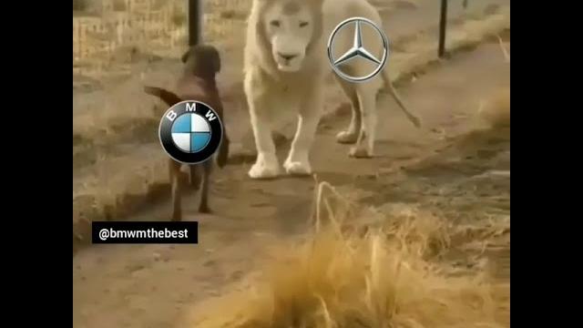 Bmw vs mers vs audi Bmw vs mers vs audi