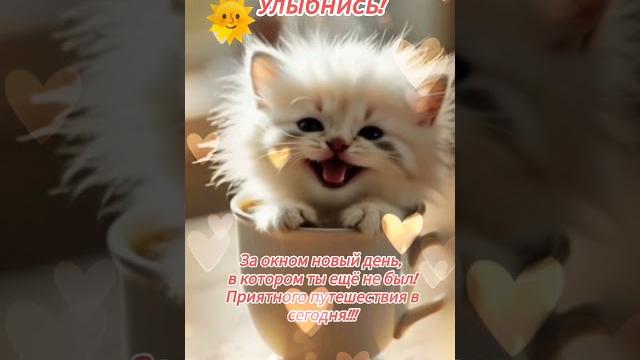 Доброе утро,хорошего дня открытки на каждый день #открытка #доброеутро #видеооткрытка #доброеутречко Доброе утро,хорошего дня открытки на каждый день #открытка #доброеутро #видеооткрытка #доброеутречко