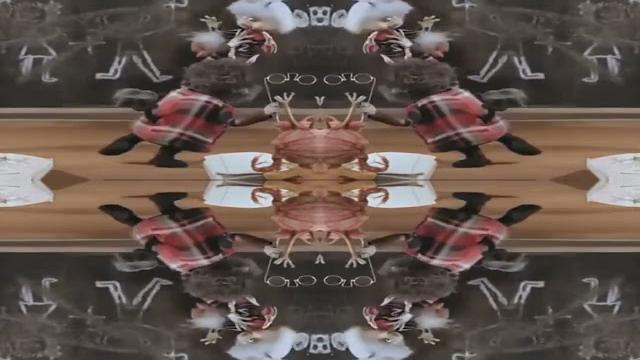 Зеркальное видео с помощью ffmpeg Зеркальное видео с помощью ffmpeg