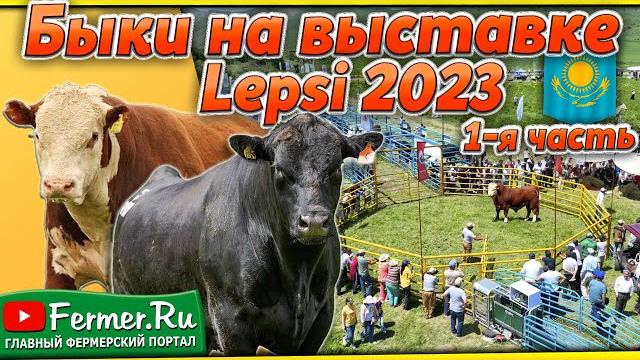 Быки Казахстана: Выставка племенных животных Lepsi-2023. Мясные породы КРС. Выставка мясных быков Быки Казахстана: Выставка племенных животных Lepsi-2023. Мясные породы КРС. Выставка мясных быков