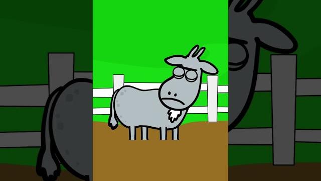 Holiday Farm Kids Song - Hooray Kids Music #shorts #animals #farm #hooraykidssongs Holiday Farm Kids Song - Hooray Kids Music #shorts #animals #farm #hooraykidssongs