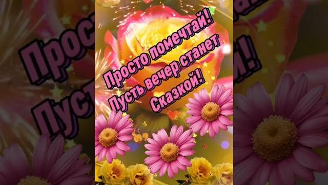 Добрый вечер! Добрый вечер!