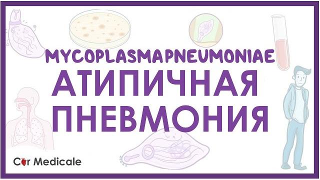 Атипичная пневмония - Микоплазма пневмонии (M.pneumoniae) - клиника, диагностика, лечение Атипичная пневмония - Микоплазма пневмонии (M.pneumoniae) - клиника, диагностика, лечение