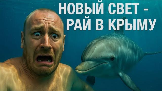 НОВЫЙ СВЕТ - ОТДЫХАЮЩИЕ ПОЕХАЛИ В КРЫМ. Что ТВОРИТСЯ на ПЛЯЖАХ. НОВЫЙ СВЕТ - ОТДЫХАЮЩИЕ ПОЕХАЛИ В КРЫМ. Что ТВОРИТСЯ на ПЛЯЖАХ.