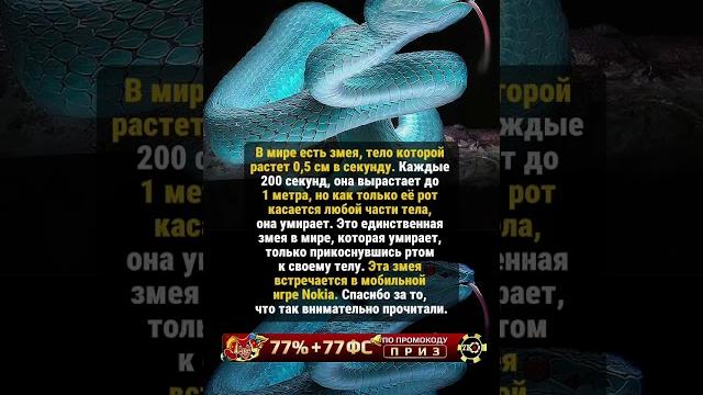 САМАЯ РЕДКАЯ ЗМЕЯ #историяизжизни #редкие #история САМАЯ РЕДКАЯ ЗМЕЯ #историяизжизни #редкие #история